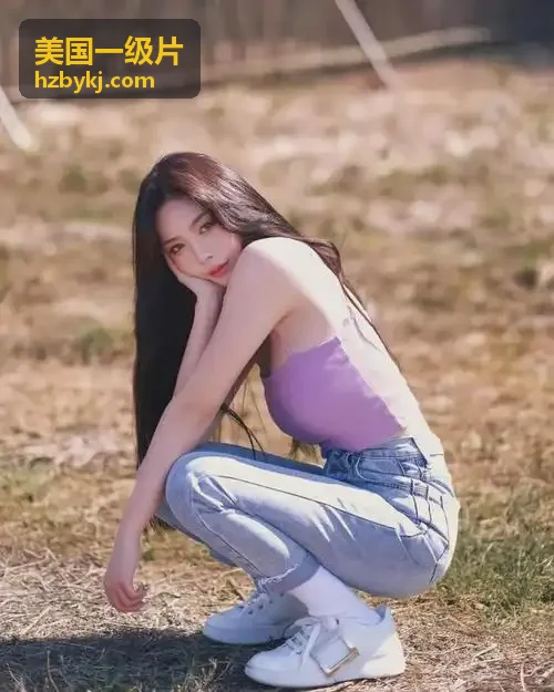 美国一级片动画分镜与作画解析深度评测